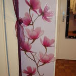 magnolija
